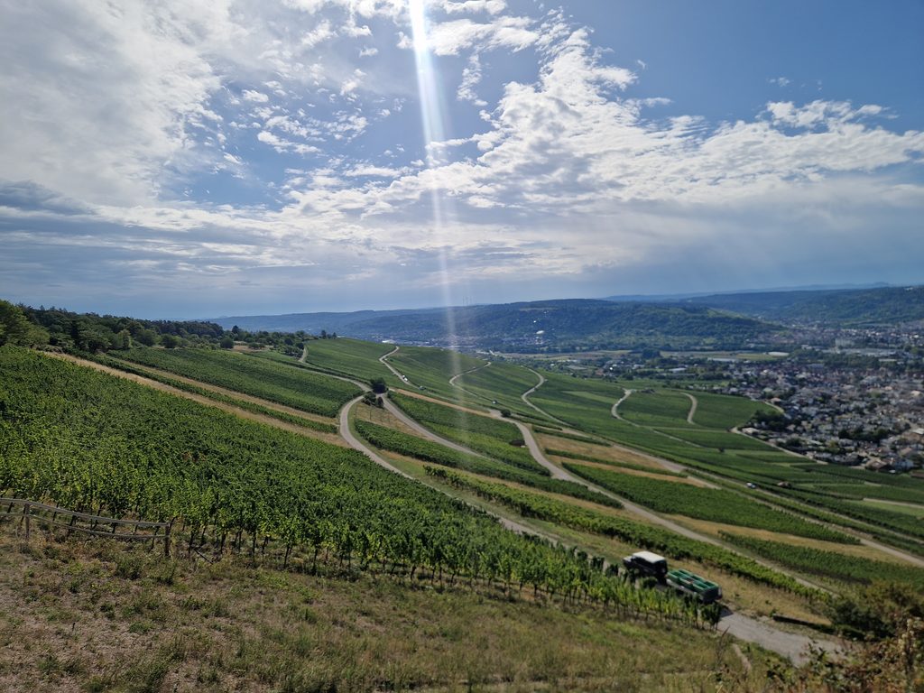 Wanderaussicht im Remstal