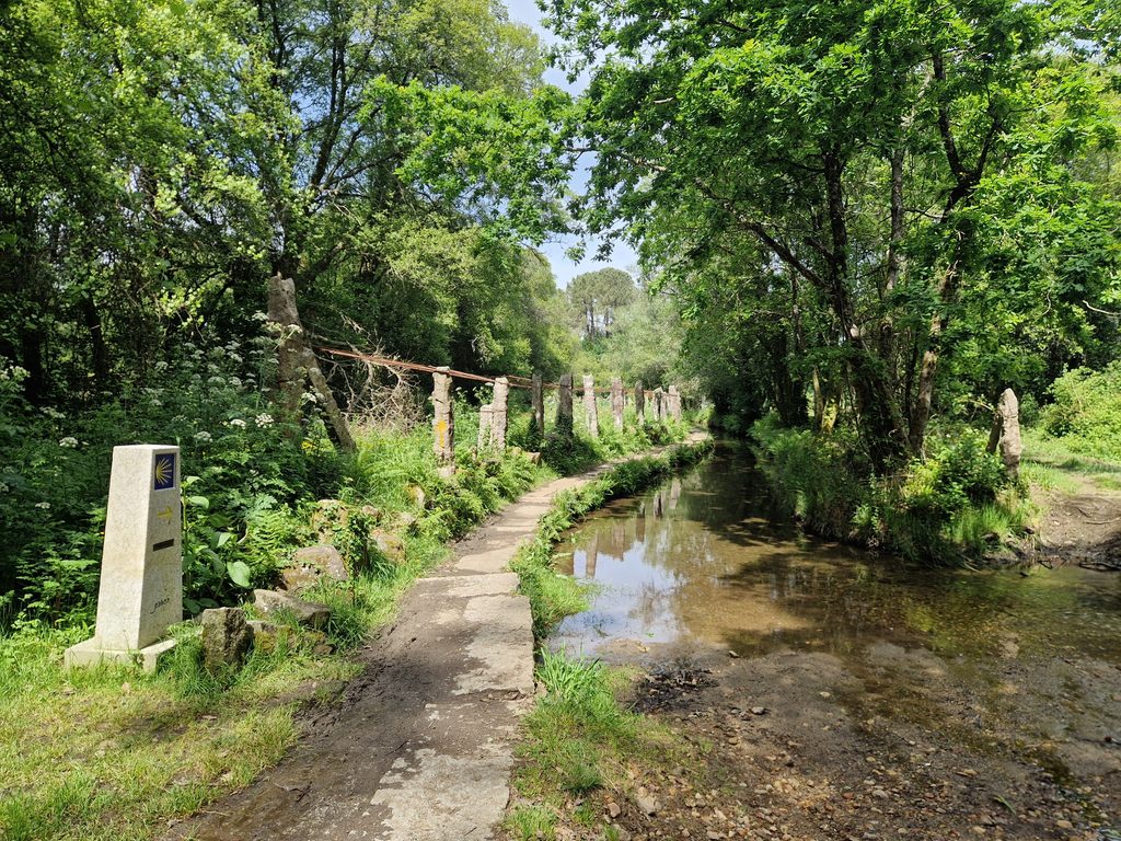 Verzauberte Wege auf dem Camino Portugués